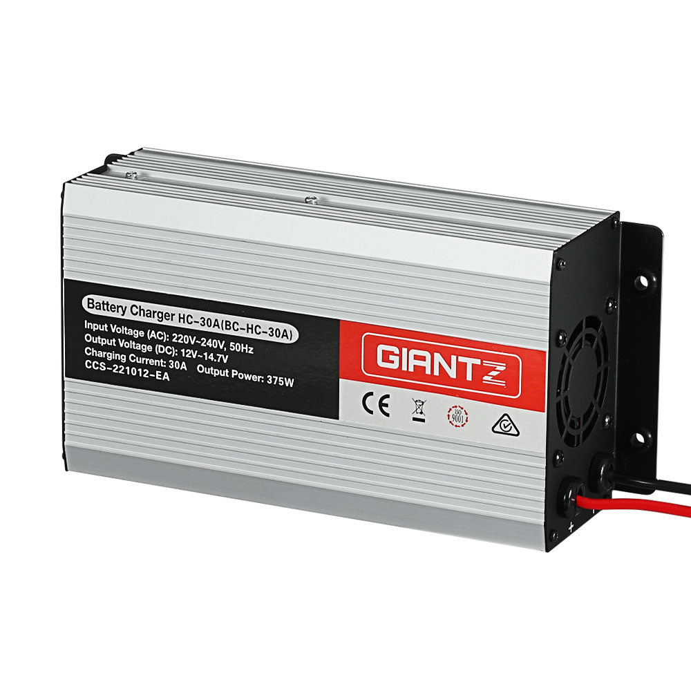 NNEDSZ 12V 30A Car Battery Charger 30Amp ATV 4WD Boat Caravan